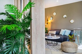Palmetto La Perla