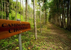 Fundo San José Lodge