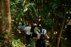 Fundo San José Lodge