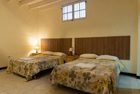 Wild Olive Guest House