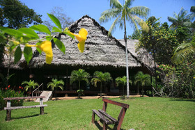 Amazonas Sinchicuy Lodge