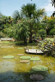 Amazonas Sinchicuy Lodge