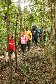 Amazonas Sinchicuy Lodge