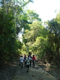 Amazonas Sinchicuy Lodge