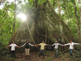 Amazonas Sinchicuy Lodge