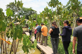 Amazonas Sinchicuy Lodge