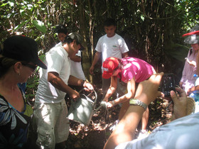 Amazonas Sinchicuy Lodge