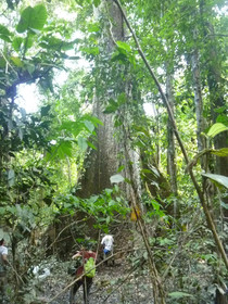 Amazonas Sinchicuy Lodge
