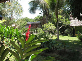 Amazonas Sinchicuy Lodge