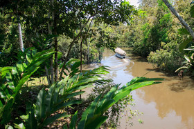 Amazonas Sinchicuy Lodge