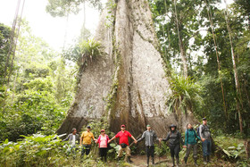 Amazonas Sinchicuy Lodge