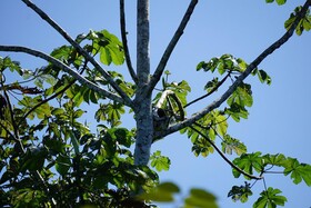 Ayaymama Eco Lodge & Expeditions