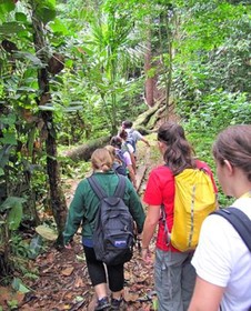 Pacaya Samiria Amazon Lodge
