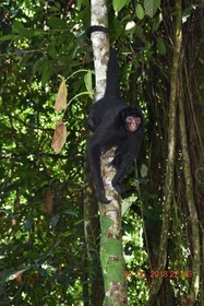 Wimba Expeditions