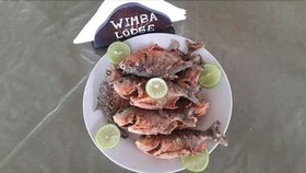 Wimba Expeditions