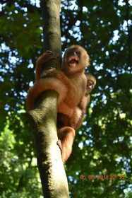 Wimba Expeditions