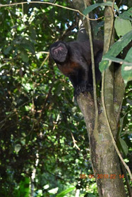 Wimba Expeditions