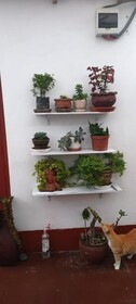 Hospedaje Marita