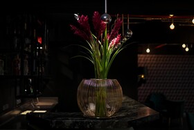 Hotel Britania Crystal Collection