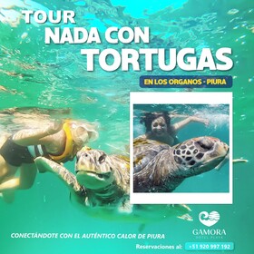 Gamora Hotel Playa
