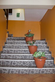 Hotel Ferré Boulevard