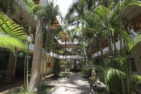 Casa Andina Standard Nasca