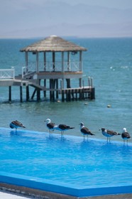 Apartamento - Vistas Islas Ballestas