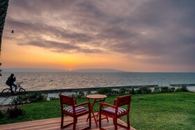 Atoq Paracas Reserva