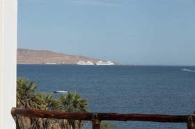 Gran Palma