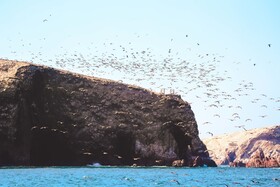 Hotel Paracas, a Luxury Collection Resort, Paracas