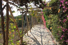 Casa Albergue Huaranjapo