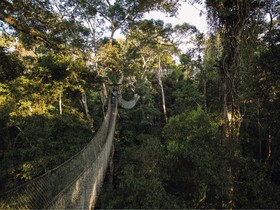 Inkaterra Reserva Amazonica Tambopata