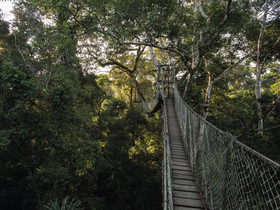 Inkaterra Reserva Amazonica Tambopata