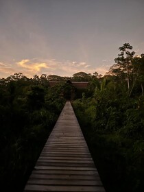 Hacienda Herrera Tambopata
