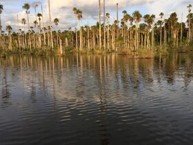 Hacienda Herrera Tambopata