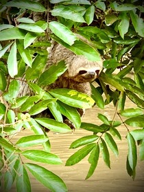Hacienda Herrera Tambopata