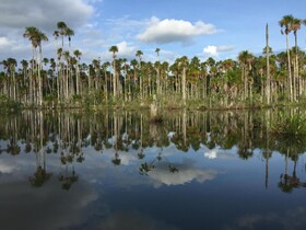 Hacienda Herrera Tambopata