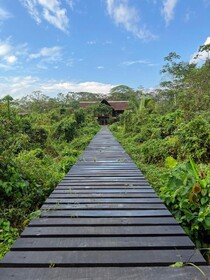 Hacienda Herrera Tambopata