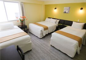 Nuevo Hotel Plaza El Carmen