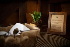 Alta Sanctuary