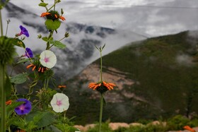 Ekokuelap Hospedaje Ecologico