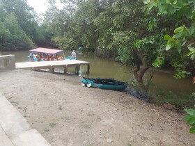 Kayaks Peru