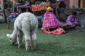Andean Wings Valley