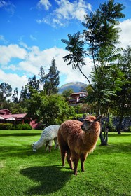 Rio Sagrado, a Belmond Hotel