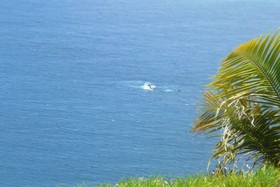 Villa Miti Natura