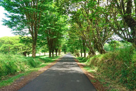 Villa Miti Natura