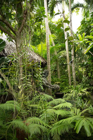 Rohotu Fare Lodge