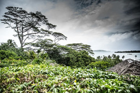 Rohotu Fare Lodge