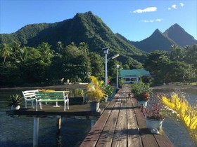 Bonjouir Lodge Paradise