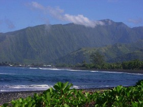 Tahiti Surf Beach Paradise